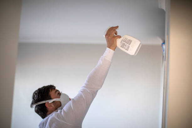Best Crawl Space Mold Removal  in West Yellowstone, MT