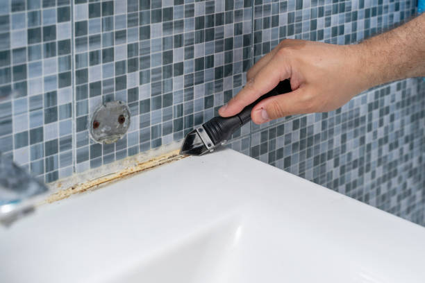 Trusted West Yellowstone, MT Mold Removal Experts